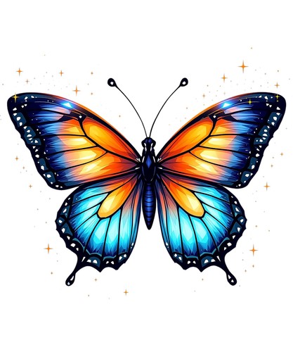 Farfalla colorata x - x,