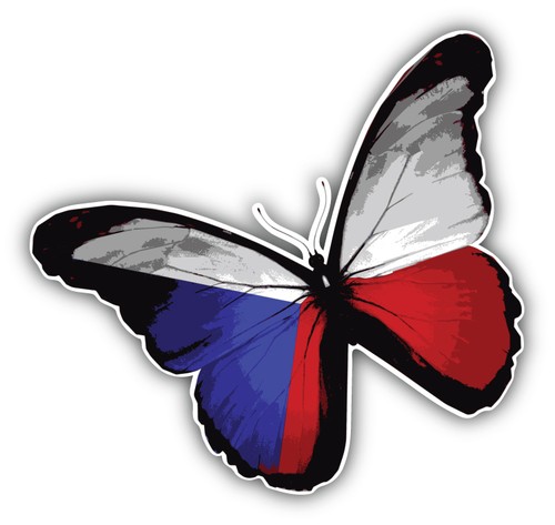 Adesivo decalcomania paraurti