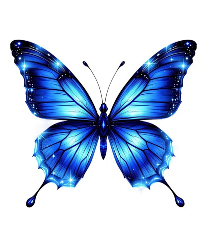 Farfalla colorata x 9 - farfalla,