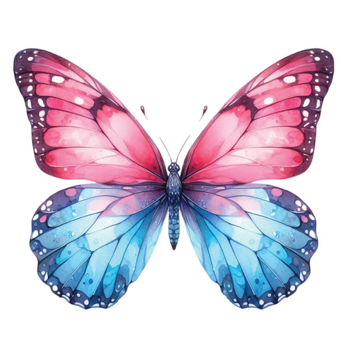 Adesivo colorato per auto