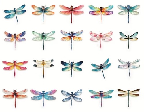 Adesivi libellula 50x adesivo - 50x,